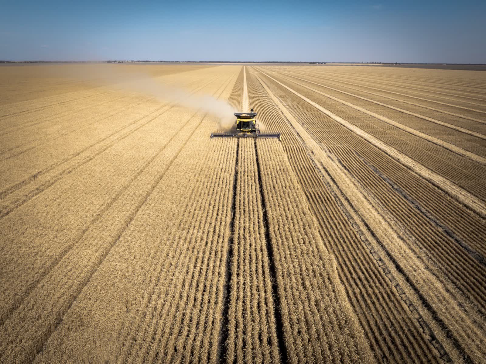 New Holland CR10 harvesting, shot from the air at Dalby