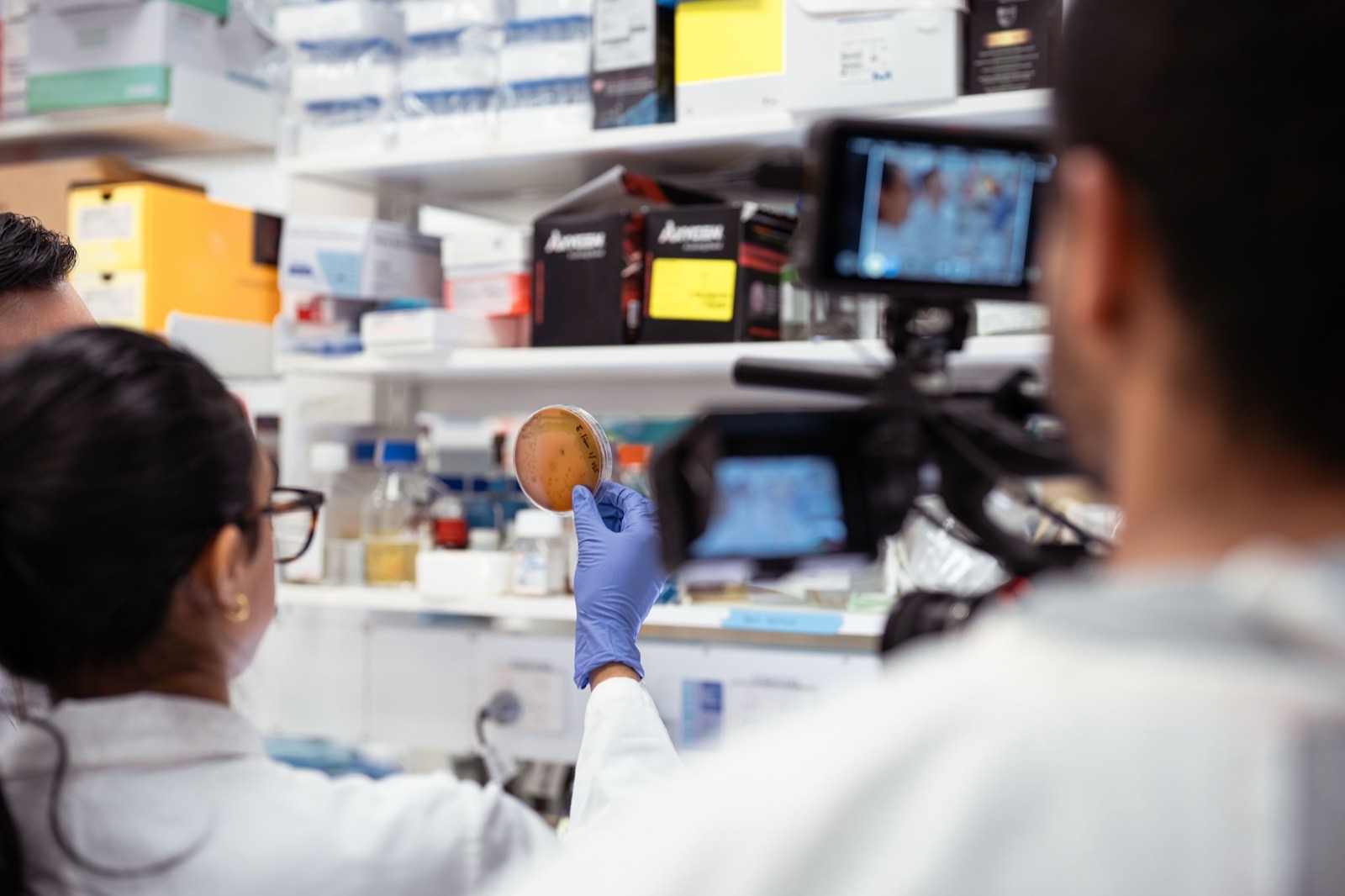 AI-Generated Video vs. Professional Video Production: What’s Right for Your Business?