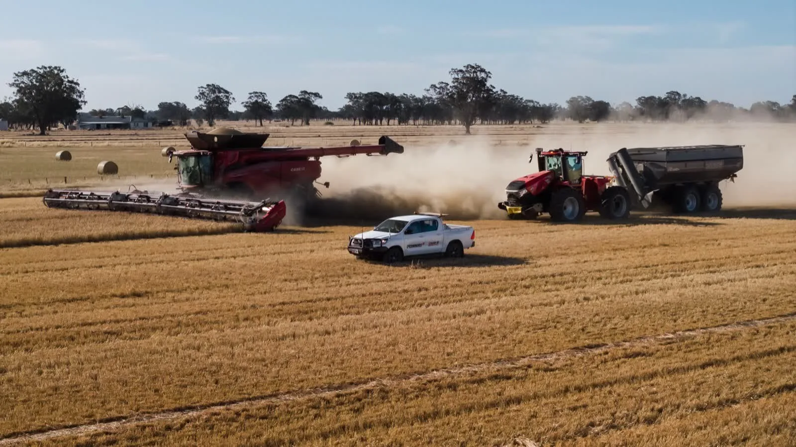 Case IH Axial-Flow combine harvesting at Swan Hill while a Case IH tractor and chaser bin run alongside, dealer ute in the foreground